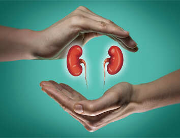 Vrei să ai suficientă energie? Prima parte: Secretul rinichilor